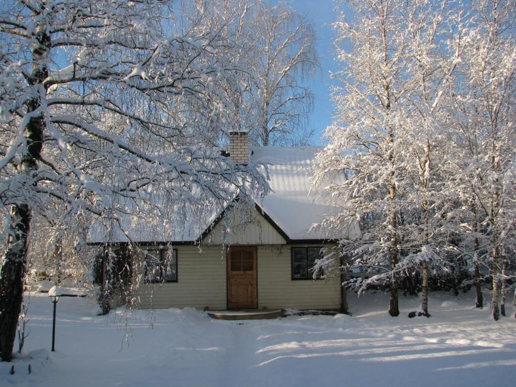 Tonise Holiday Houses Lilbi  Zewnętrze zdjęcie